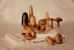 © Chris Chandler  <em>Mushrooms!</em>