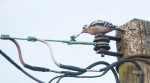 © Ian Hughes  <em>Off-Beak Electricity</em>