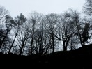 © Gill Pinkerton  <em>Silhouettes</em>
