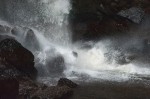 © Margaret Smith  <em>Splash</em>