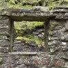 © Sue Best  <em>Through the window</em>