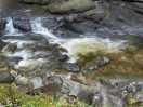 © Sue Best  <em>Down Stream</em>