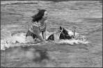 © Harry Pinkerton  <em>Extreme horse washing at Appleby</em>