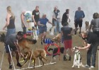 © Elaine Ward  <em>The Dog Class</em>