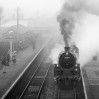 © Alan Ward  <em>Sheringham - Steam Smoke and Sea Fret</em>