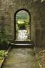 © Andy Best  <em>Through the Garden Arch</em>