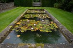 © Margaret Smith  <em>Lily Pond</em>
