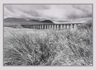© David Crutchley  <em>Ribblehead 2</em>