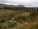 © Gill Pinkerton  <em>Ribblehead Viaduct</em>