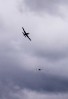 © Sue Haddrill  <em>RAF Flyover</em>