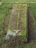 © Gill Pinkerton  <em>Mossy Gravestone</em>