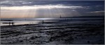 © Chris Chandler  <em>Sunderland</em>