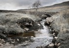 © Margaret Smith  <em>Beck in Winter</em>