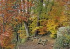 © Paul Underhill  <em>Swinsty in the Fall</em>