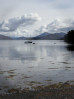 © Gill Pinkerton  <em>Serenity</em>