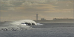 © Paul Underhill  <em>Rockin' and Rollin'</em>