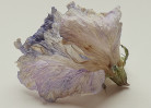 © Yvonne Fairclough  <em></em>