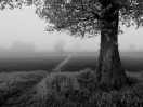 © Yvonne Fairclough  <em></em>