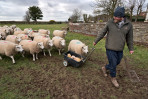 © John Bentley  <em>Lambing Time</em>