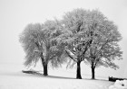 © Harry Pinkerton  <em>Winter in Ingleton</em>