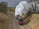 © John Cooper-Smith  <em>Last steam before lockdown</em>