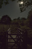 © Andy Best  <em>Moonlit Bridge</em>