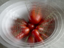 © Harry Pinkerton  <em>Unsteady zoom burst</em>