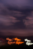 © Sarah France  <em>Ghostly exercises over Settle</em>