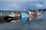 © Chris Chandler  <em>Mull Harbour</em>