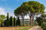 © Ian Hughes  <em>Glimpse of Assisi</em>
