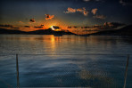© Paul Higgins  <em>Evening Moring</em>