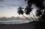 © Peter Robinson  <em>After Sunset</em>