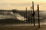 © Yvonne Fairclough  <em>Post-Industrial</em>