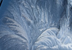 © Chris Yates  <em>Frost patterns</em>