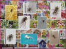 © Chris Chandler  <em>Jigsaws and spiders on my phone</em>
