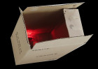 © Elaine Ward  <em>The box</em>