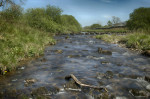 © Andy Best  <em>River Crossing</em>