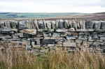 © Chris Chandler  <em>Stone Wall</em>