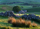 © John Bentley  <em>Ribblesdale evening</em>