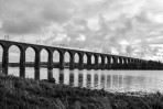 © Nick Burton  <em>Royal Border Bridge at Berwick (Archive)</em>