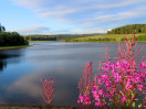 © Elaine Ward  <em>Stocks reservoir</em>