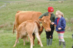 © Jeanette Davidson  <em>Flossie cuddles</em>