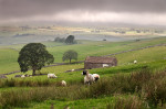 © John Bentley  <em>Evening in Ribblesdale</em>
