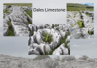 © Gill Pinkerton  <em>Dales Limestone</em>