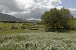 © Andy Best  <em>Ribblehead Quarry</em>