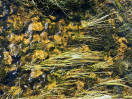 © Gill Pinkerton  <em>What a little sun can do</em>