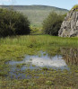 © Gill Pinkerton  <em>Whernside from Ribblehead quarry</em>