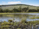 © Harry Pinkerton  <em>View across to Whernside</em>