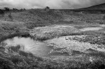 © Margaret Smith  <em>Stormy Weather</em>