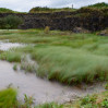 © Rod Smith  <em>Ribblehead Quarry 2</em>